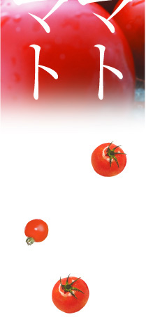 トマト・ミニトマト
